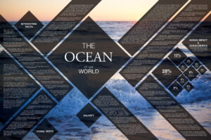 Ocean Poster